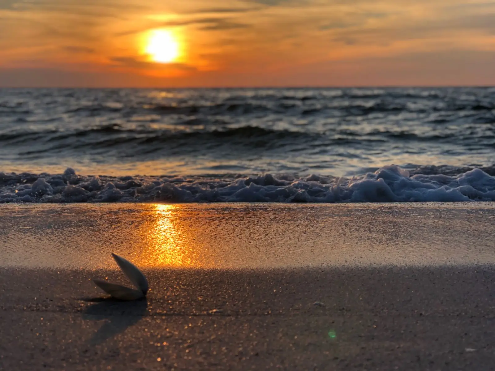Florida beach at golden hour