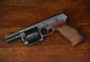 Best Concealed Carry Gun for Women,